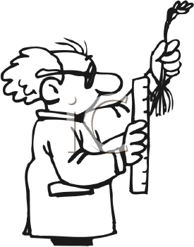Cartoon Clipart